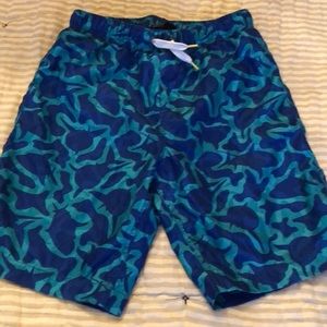 Lands End Swim Trunks